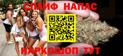 крисы Будённовск