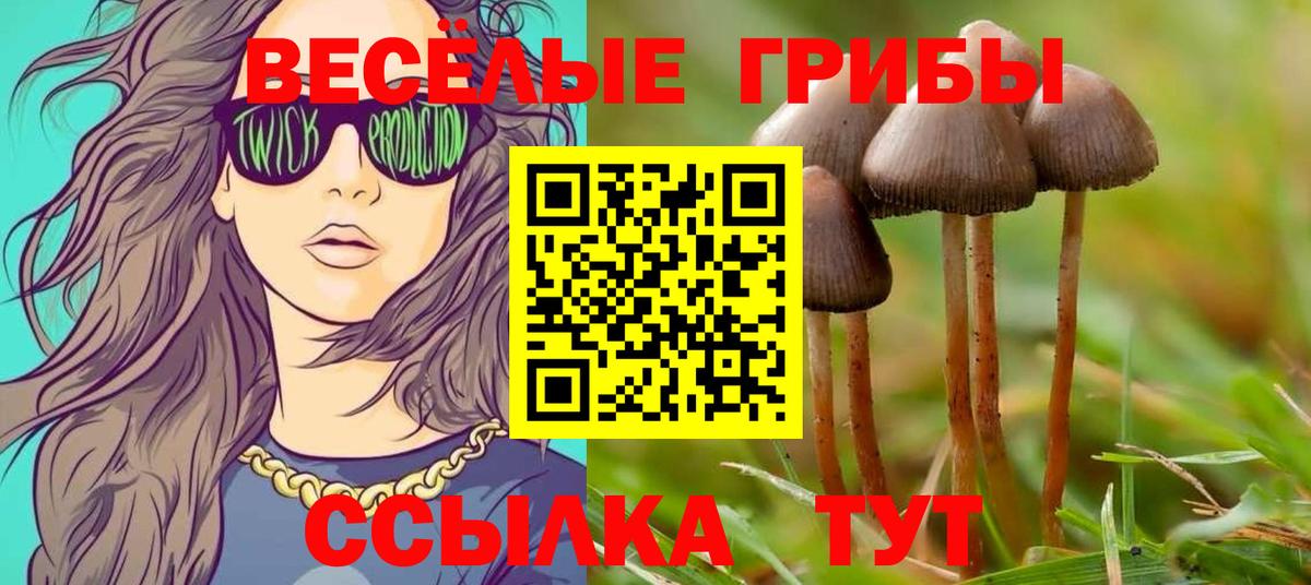 Псилоцибиновые грибы GOLDEN TEACHER  Вход с VPN  Лобня 